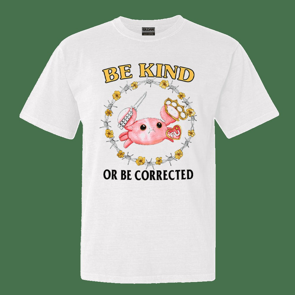 Be Kind Or Be Corrected T-Shirt Cute Graphic Tees Christmas Gift for Him