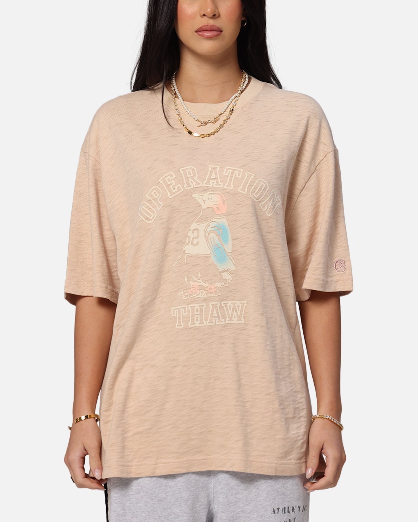 Champion RW Expansion T-Shirt Mocha Style001