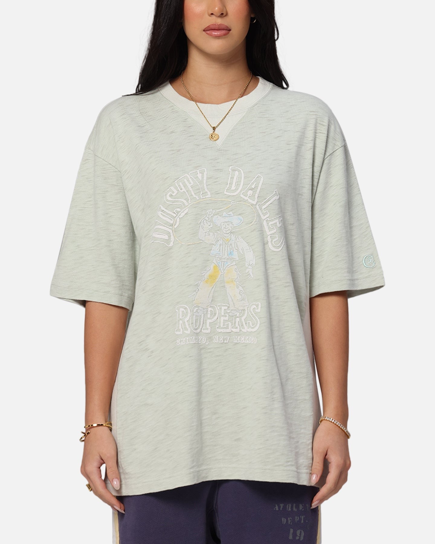 Champion RW Expansion T-Shirt Sage Style001