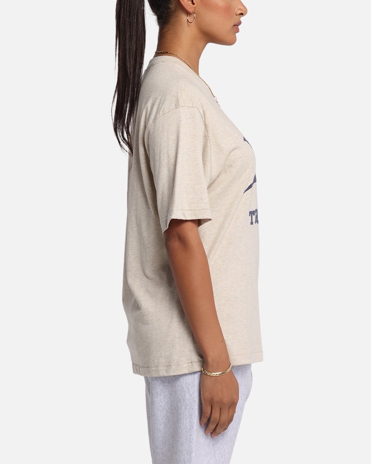 Champion Vintage Mix P.E Class T-Shirt Oatmeal Heather Style001