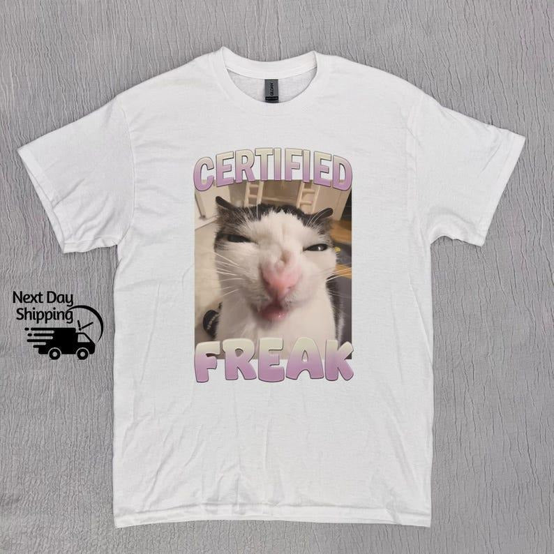 Funny Certified Freak Cat Meme Graphic Tshirt, Vintage Funny Cat T-Shirt, Retro Washed Distressed Tee, Cat Lovers Gift, Funny Teenager Gift Top