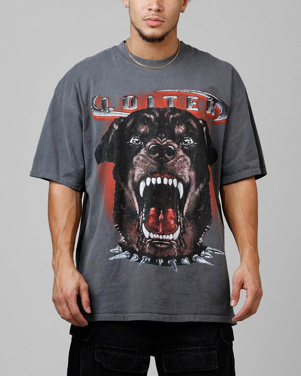 Loiter Dog House Vintage T-Shirt Charcoal