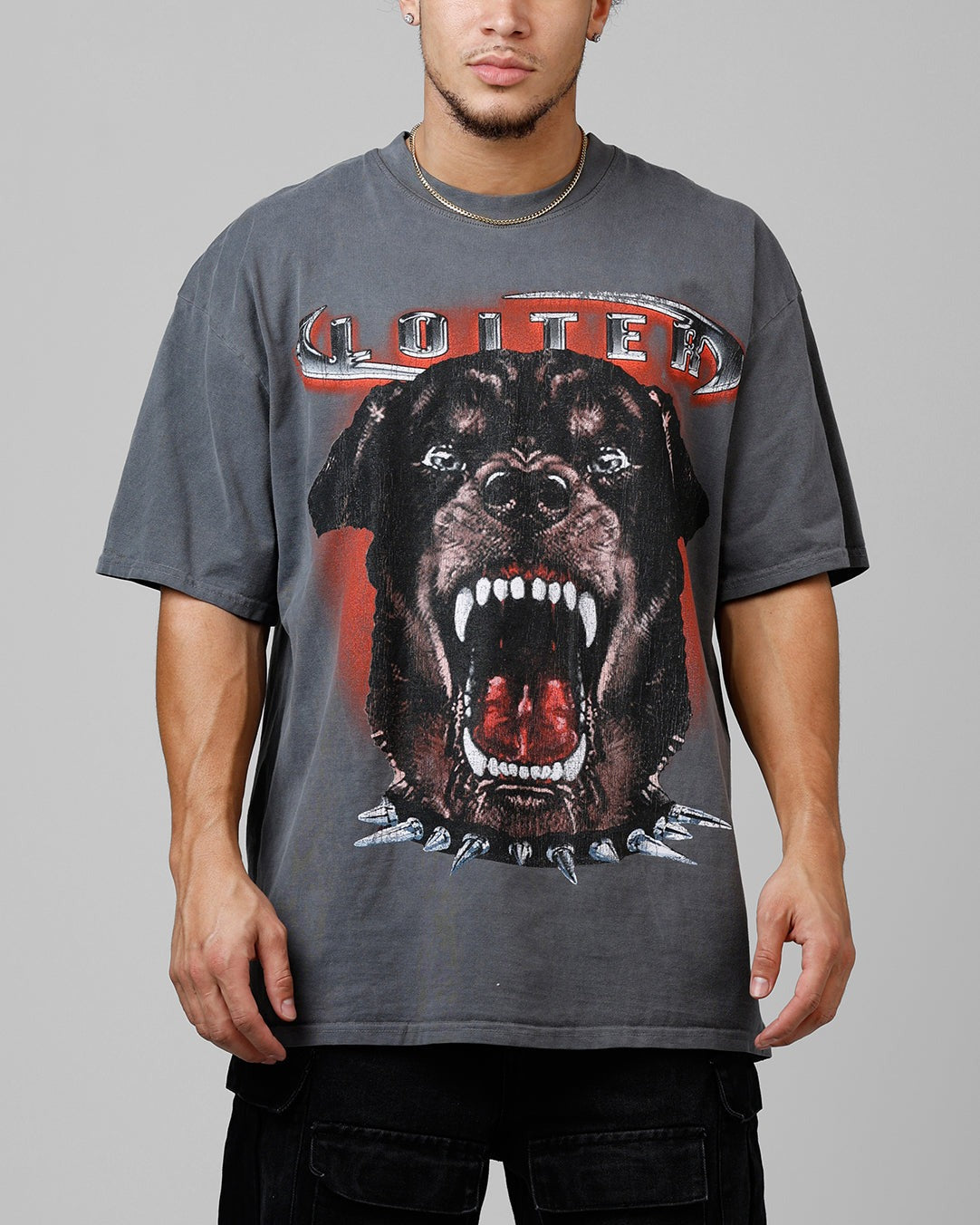 Loiter Dog House Vintage T-Shirt Charcoal