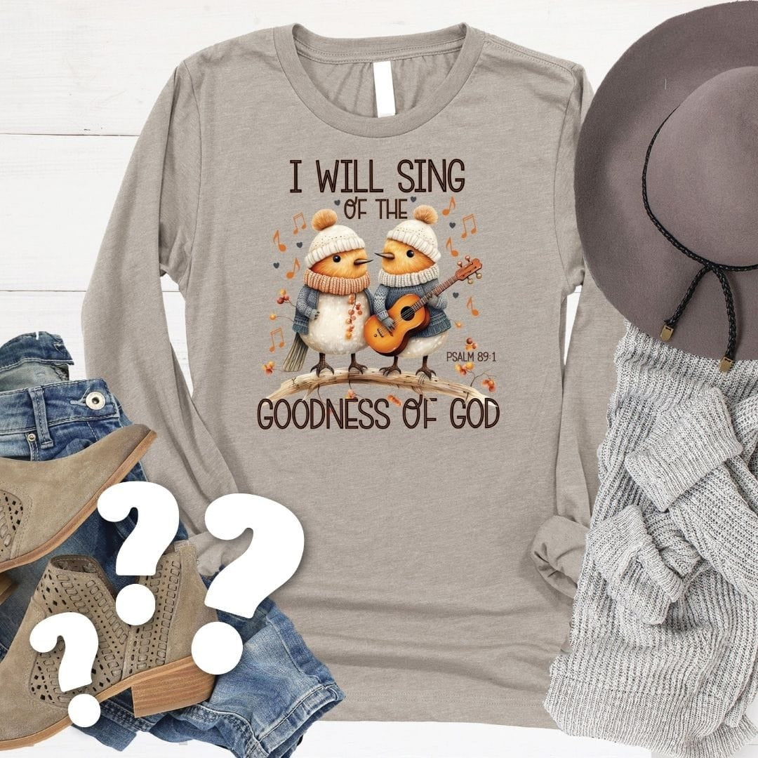 Mystery Long Sleeve Tee (color and design selected at random)