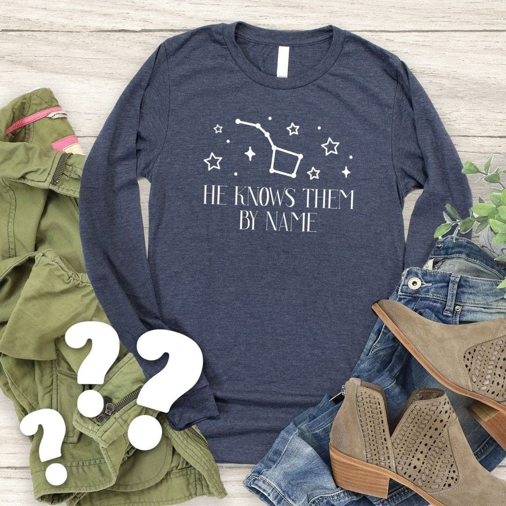 Mystery Long Sleeve Tee (color and design selected at random)