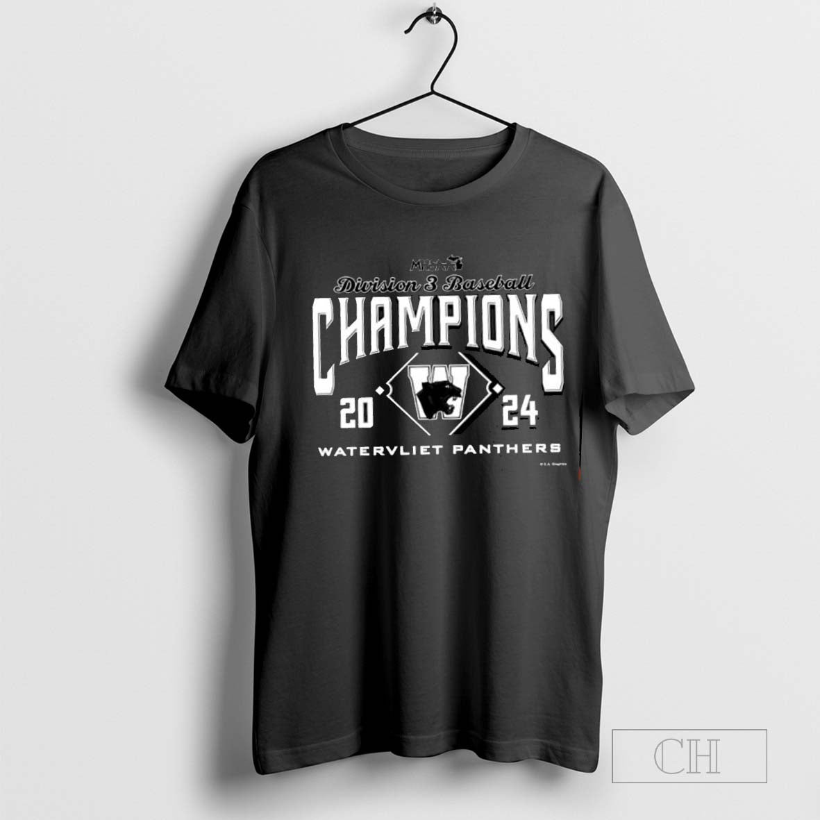 Watervliet Panthers 2024 MHSAA Division 3 Baseball Champions T-shirt