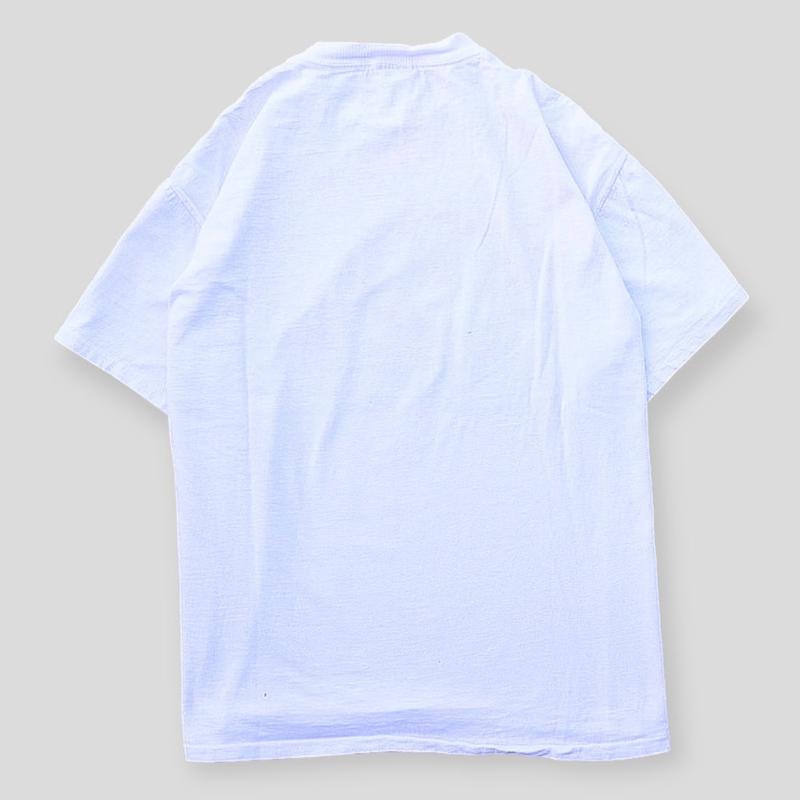 1994 Arkansas National Champs Final Four Tee