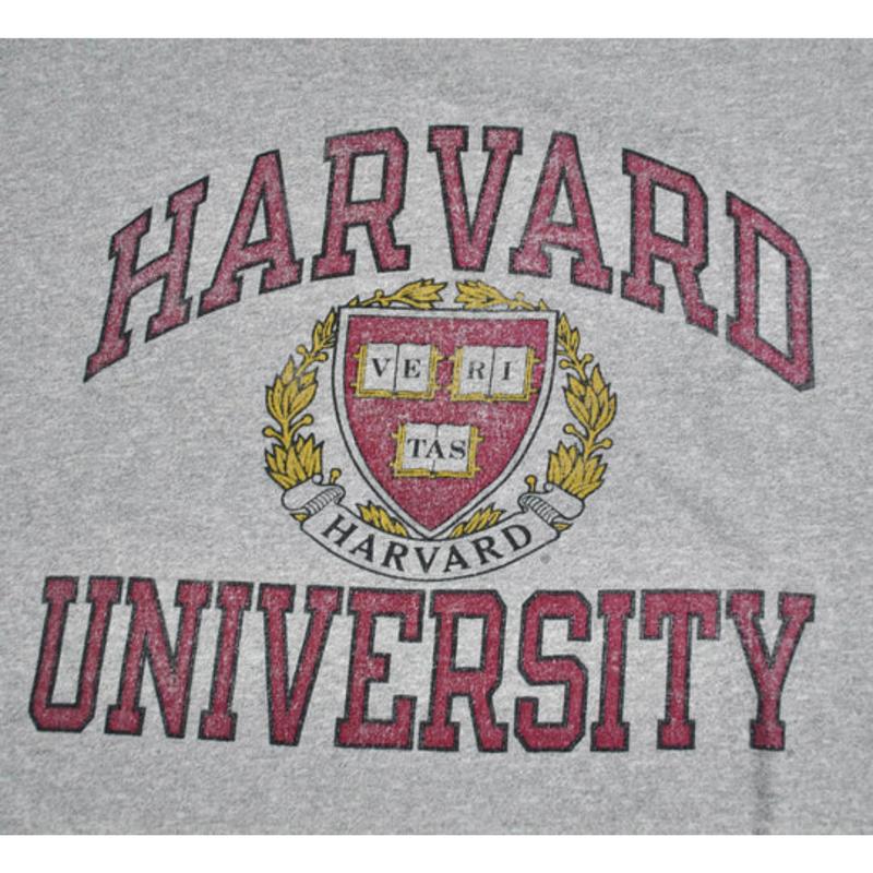 Vintage 90s Harvard Crimson Champion T Shirt