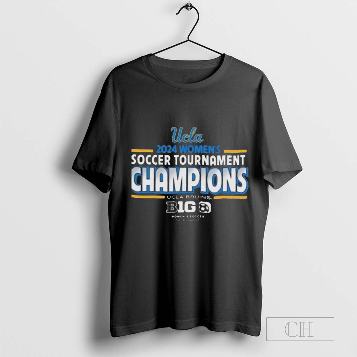 UCLA Bruins 2024 Big 10 Women’s Soccer Champions T-Shirt